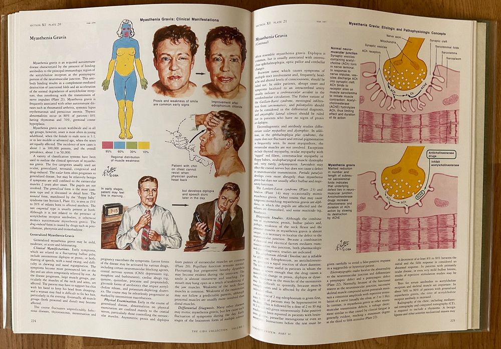 Netter: medical illustrations - neurology (Gebraucht) in Binningen für ...