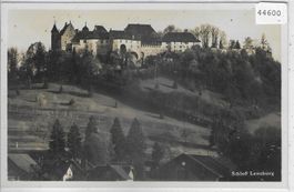 Schloss Lenzburg