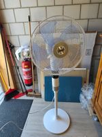 neuwertiger Stand Ventilator Solis - Typ 7582