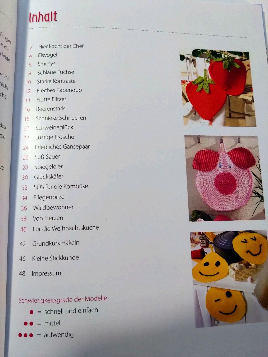 Libri: Topflappen-Highlights – Usato da Unterlangenegg venduto da SteWue 1