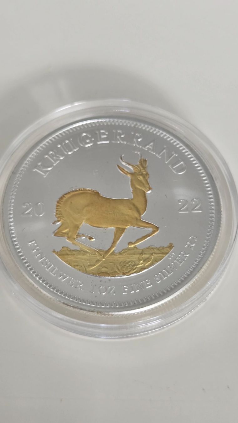 Tutti le monete: Krugerrand Silber-Gold 1oz 2022 – Usato da Duebendorf venduto da Dguguseli
