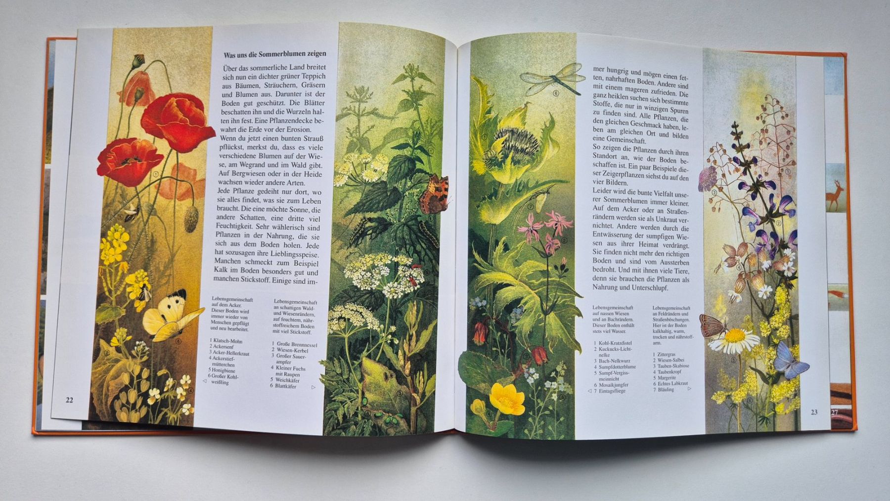 Bücher: Die Erd Uhr      🧡🌍  💦        Una Jacobs – Gebraucht aus Niederweningen von Obson 8