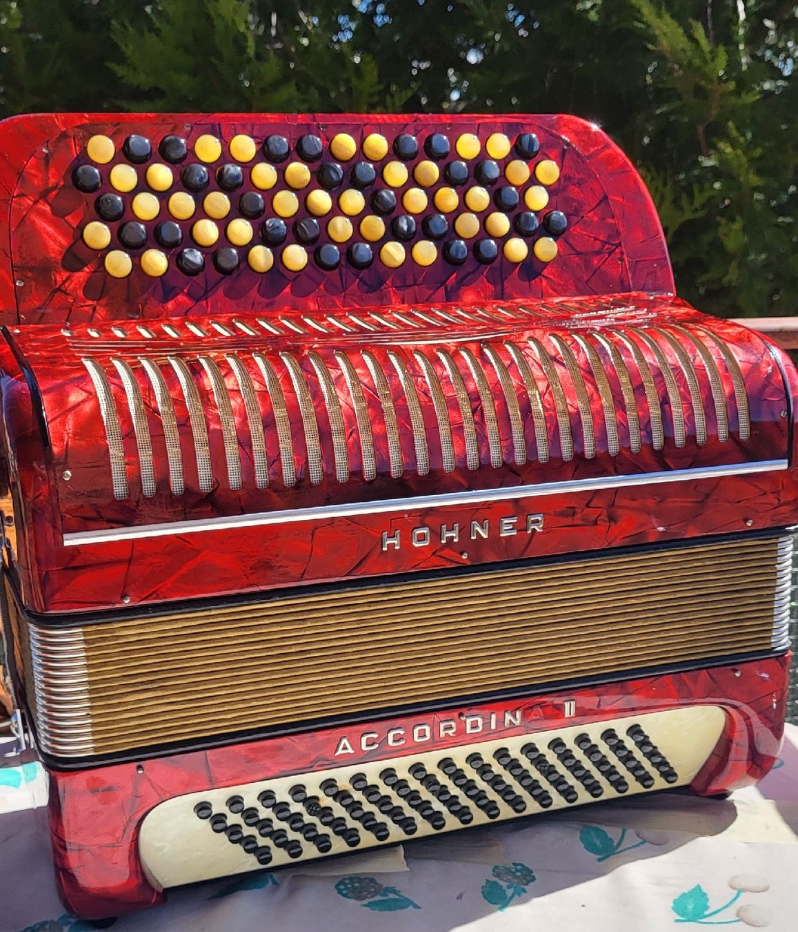 Hohner Strumenti musicali: accordéon hohner Accordina II – Usato da Penthalaz venduto da EvandroLuz