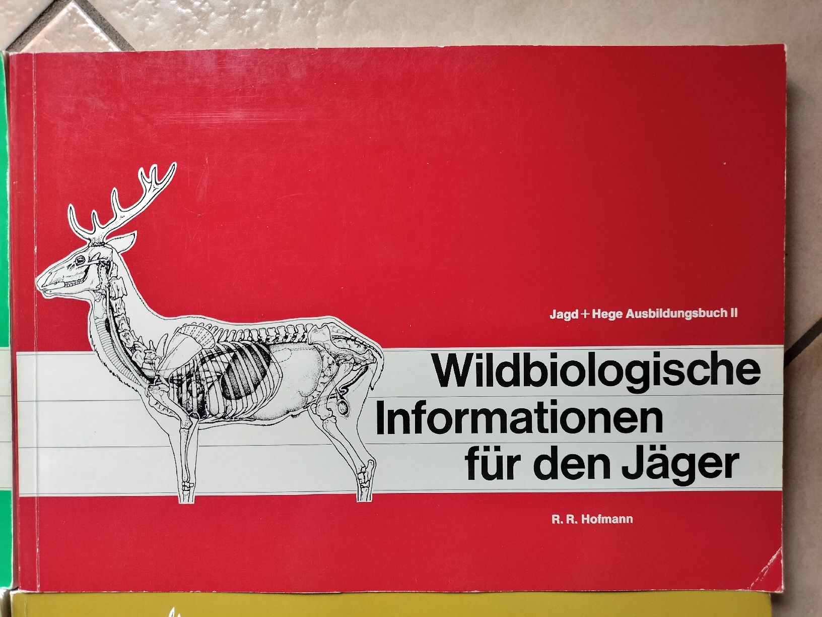 Libri: Jagd Bücher von 1978-1984 – Usato da Schwanden Sigrisw venduto da cadieux71 2