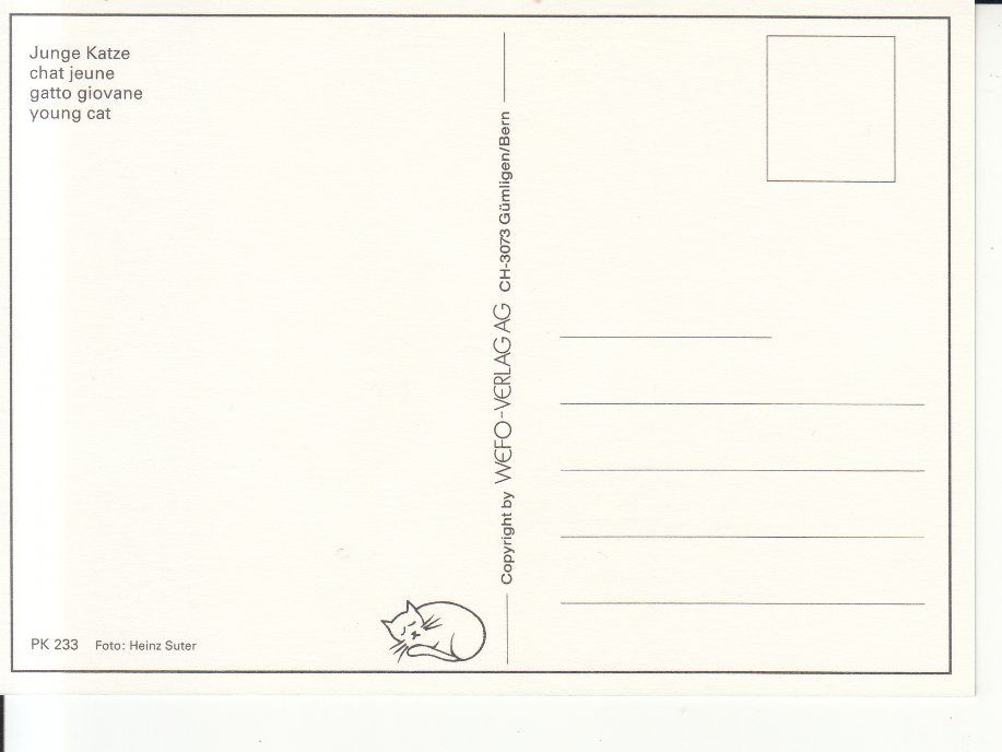 Cartoline postali: Katze ca. 1990 – Nuovo (secondo la descrizione) da Bürglen TG venduto da StampGraf 1
