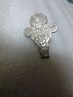 Nintendo PINS Club (silver color)