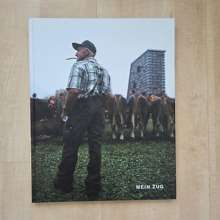Libri: Mein Zug – Usato da Zug venduto da Sunshine_113