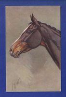 CHEVAL
