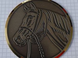 Plakette Emaille Pferdekopf-Motiv aus Messing 7.5cm