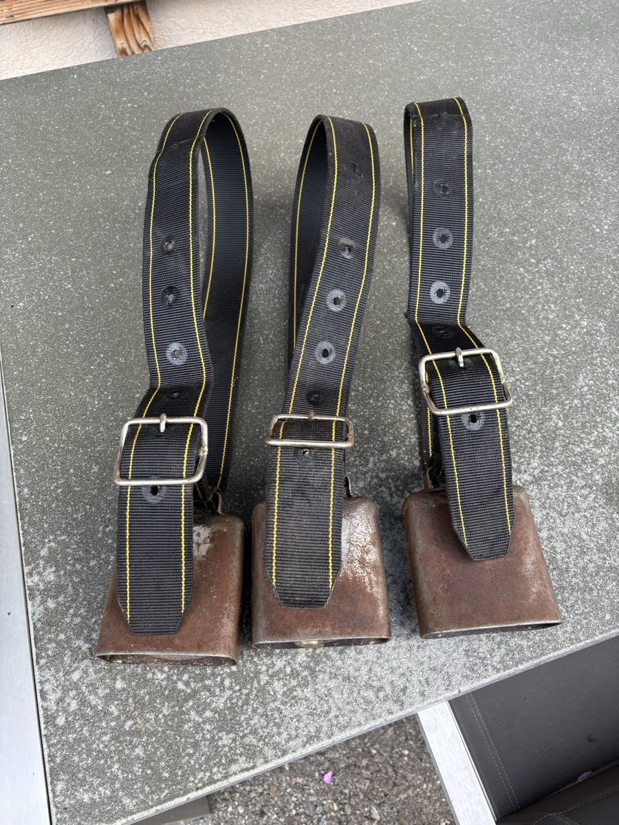 Glocken & Treicheln: 3 Gotthardt NR 3 – Gebraucht aus Schangnau von Roseggli82