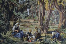Schulwandbild "Wald"