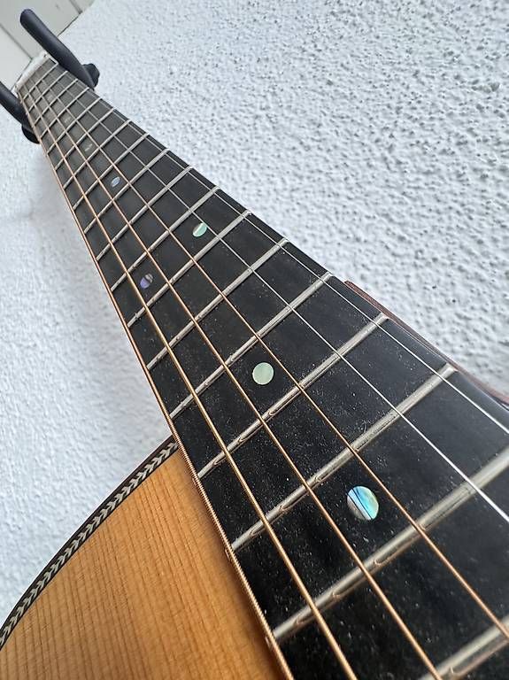 Strumenti musicali: Dowina Danubius DCE – Usato da Weesen venduto da elp_zyf5 3