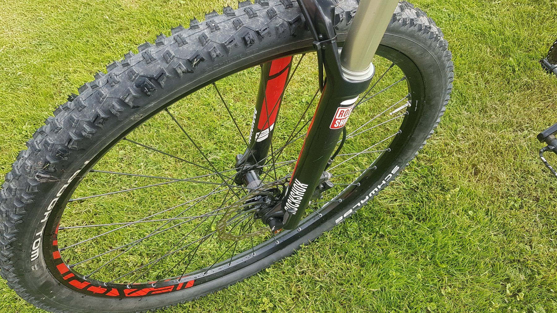 Specialized Biciclette: Specialized Carve Mountainbike – Nuovo (secondo la descrizione) da Zäziwil venduto da Lesny3 3