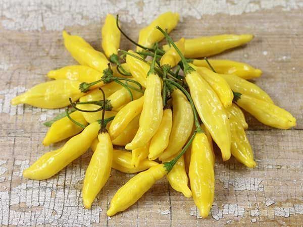 Piante & sementi: 30 Samen LEMON DROP Chili – Nuovo (secondo la descrizione) da Ehrendingen venduto da VerveinaSamen 5
