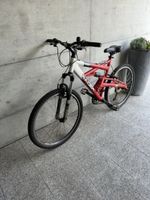 Bicicletta Racer Goat