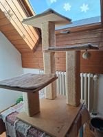Kleiner Katzenbaum