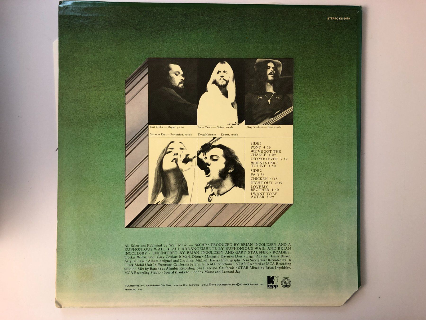Vinyles: A EUPHONIOUS WAIL - same – D'occasion à Zufikon par mirageg5 1