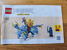 LEGO Ninjago - Riyu der Babydrache - 71810
