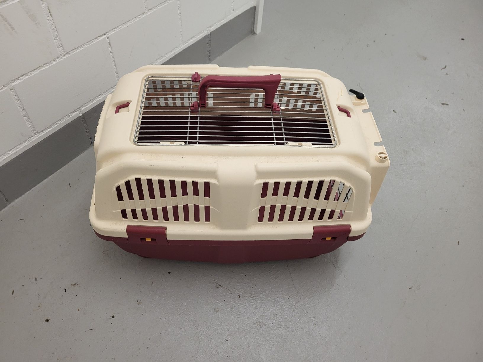 Gabbie, trasporto & Sicurezza: Katzentransportkiste – Usato da Gutenswil venduto da ghekko88