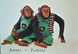 BAD RAGAZ Tierpark Affen Schimpansen Kinder Jimmy + Tschitta