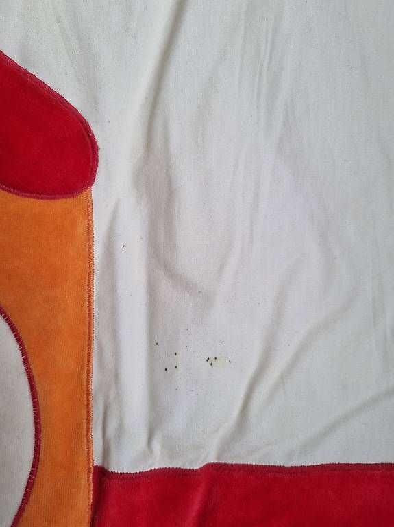 Tappeto da gioco: Krabbeldecke von Sterntaler – Usato da Goldach venduto da ladybird75 1