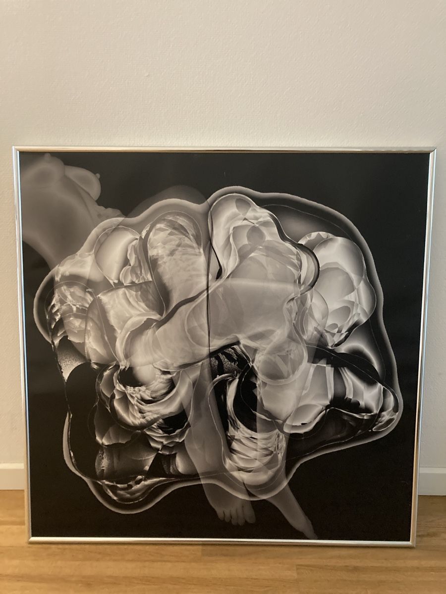 Poster & Bilder: Bilder – Gebraucht aus Zürich von Inca007 1