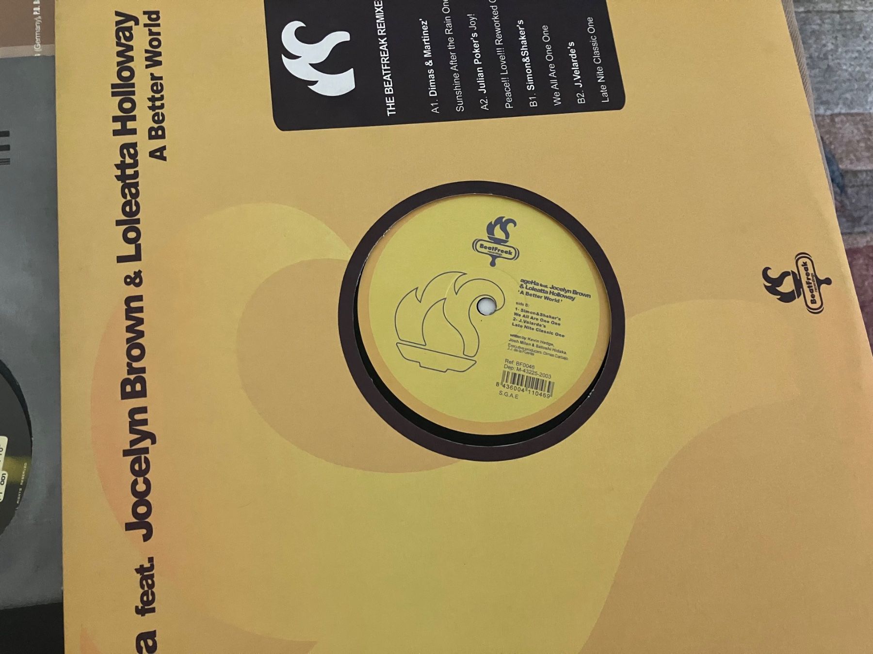 Schallplatten: Techno Maxi Schallplatten Sammlung – Gebraucht aus Zürich von Sophierecords 1