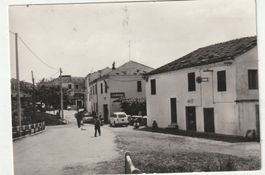 Testso Savona
