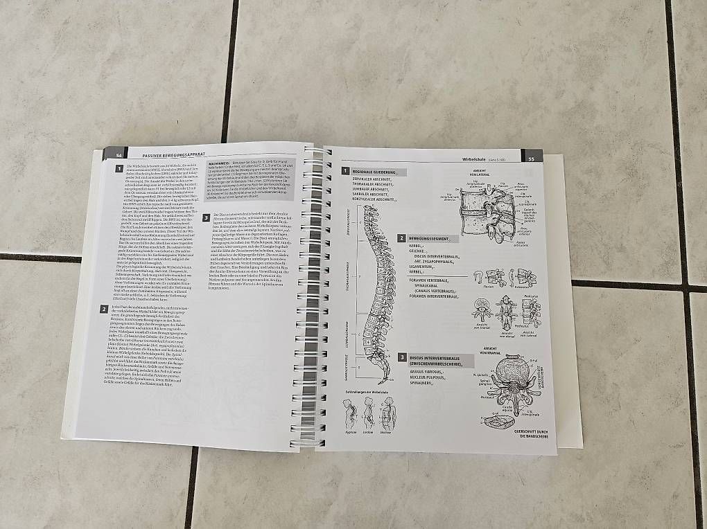 Bücher: Anatomie Malatlas – Gebraucht aus Wetzikon ZH von Lampi02 2