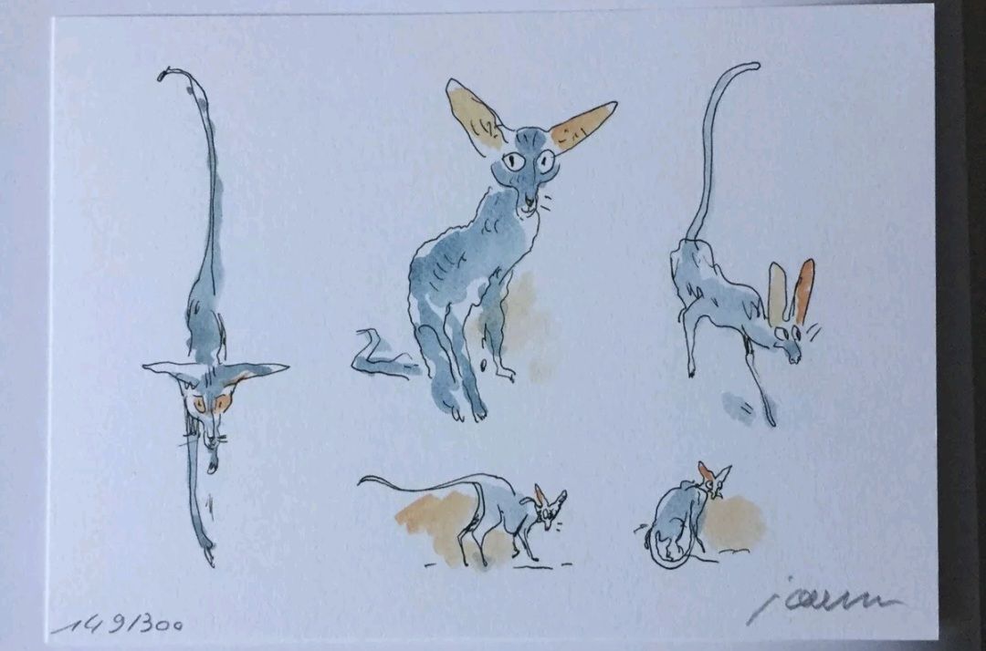 Fumetti: Joann Sfarr / Le Chat du Rabbin / Tome 9 – Nuovo e nell'imballaggio originale da Cortaillod venduto da signep 6