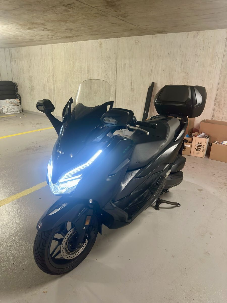 Honda Scooter: Honda Forza 125 – Usato da Vionnaz venduto da alb_hnr9 2