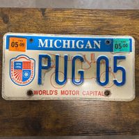 🇺🇸 U.S. Autoschild - Michigan PUG 05 - ORIGINAL