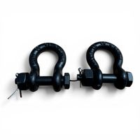 2er Set Safetex Schäkel 3/8'' 1 Tonnen Traglast (X1083)