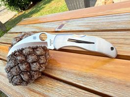 Spyderco Harpy (C08S)  VG-10  Absoluter Top-Zustand!