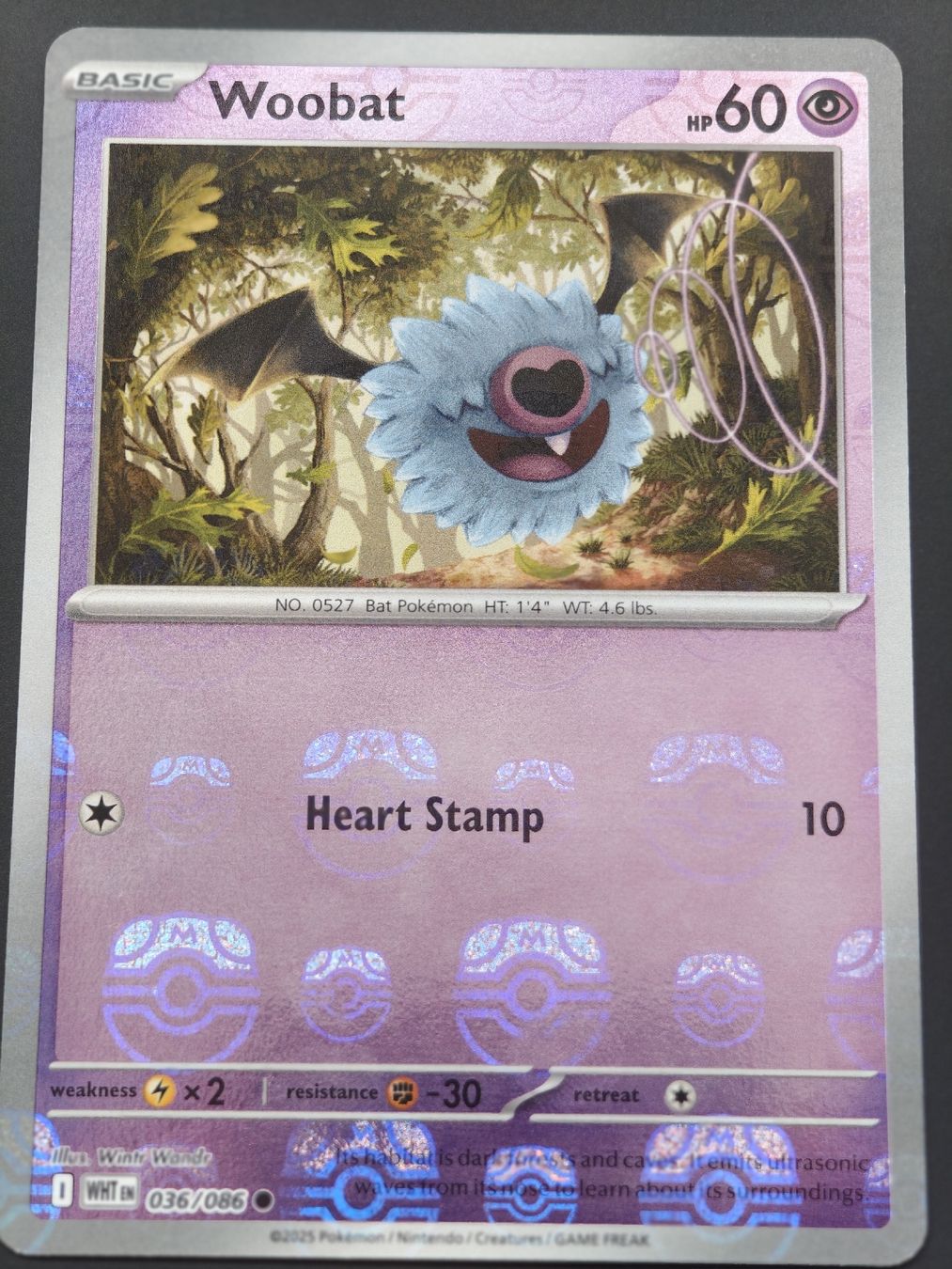 Pokémon Carte collezionabili: Woobat Masterball 036/086 EN – Nuovo (secondo la descrizione) da Therwil venduto da Cordachu_Trade