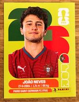Fifa WM 2026 Panini POR 14
