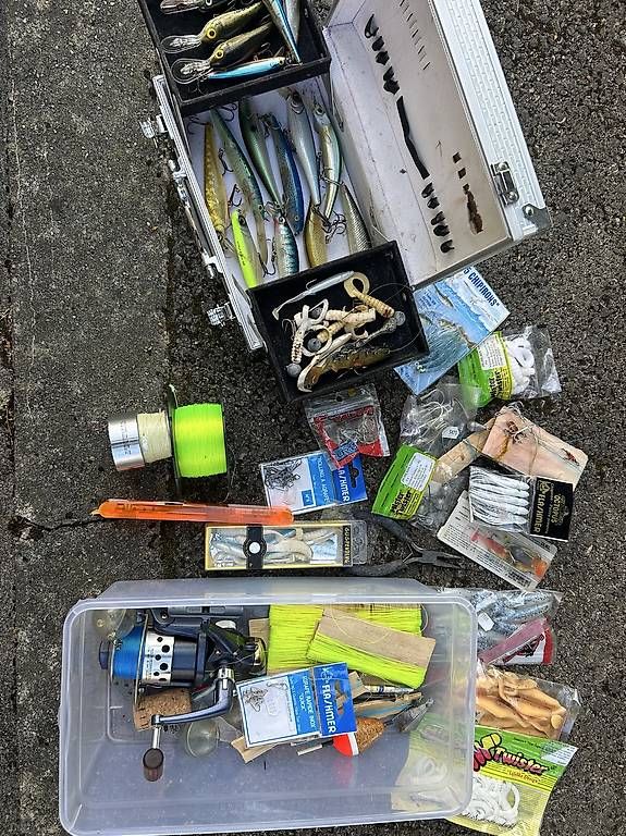 Shimano Canne da pesca: Matériel de pêche – Usato da boudry venduto da jul_sv92