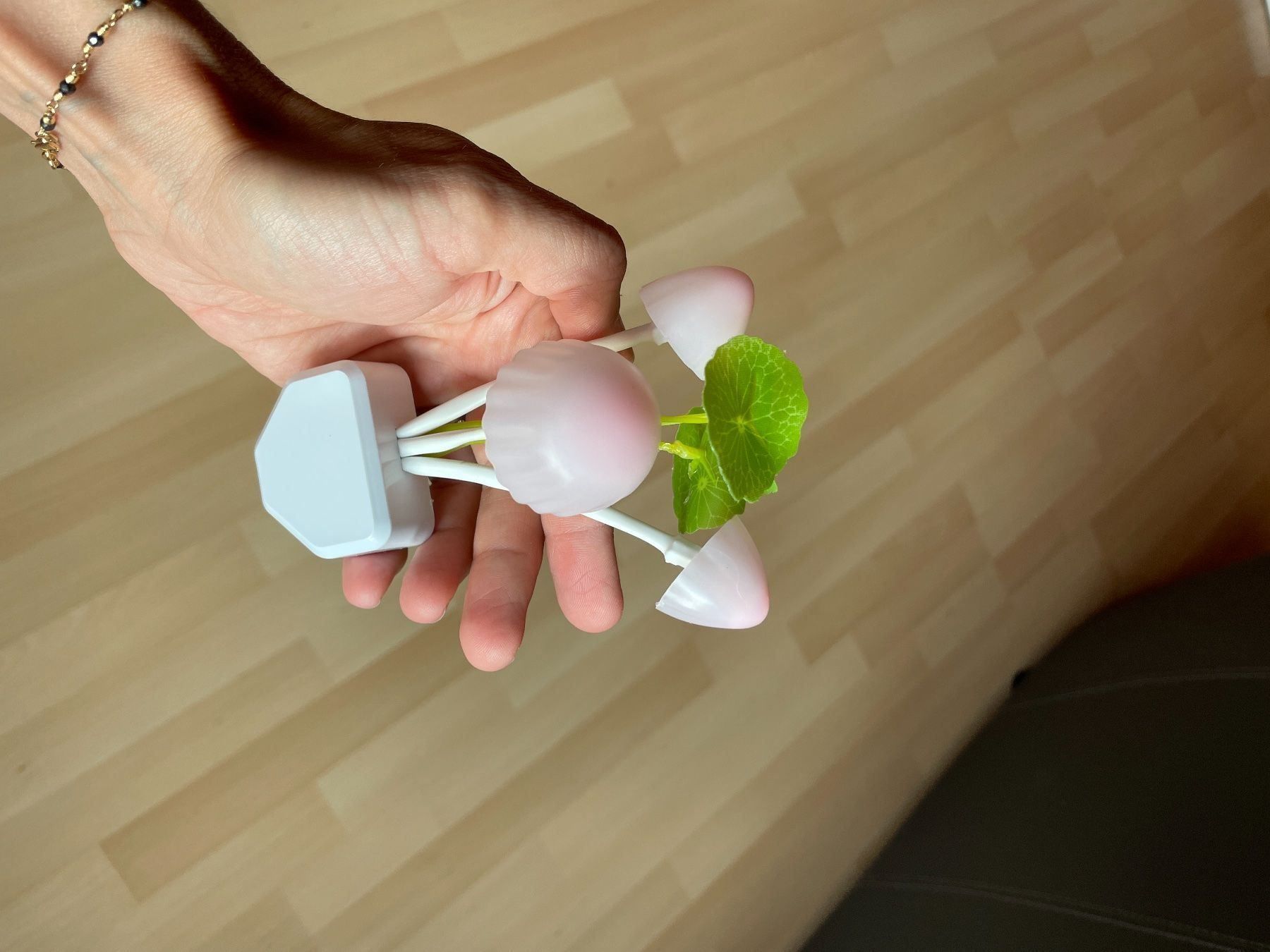 Lampade: LED Lampe – Nuovo e nell'imballaggio originale da Pieterlen venduto da Ksenia3003 4