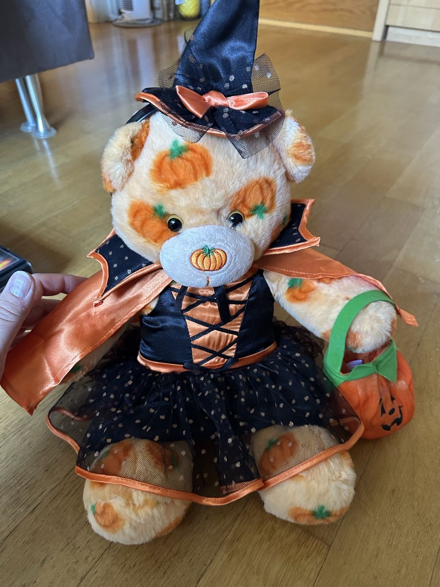 Giocattoli: Teddy Halloween selten top – Usato da Bern venduto da Ruhrallee 1
