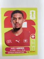 Panini Bild Amenda SUI 7