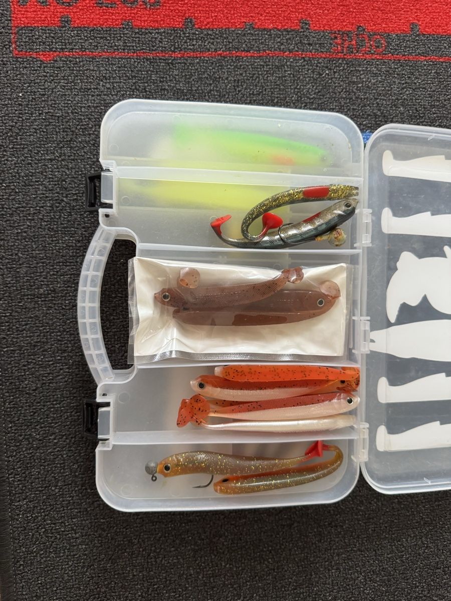 Esche: Lieblingsköder 12.5cm mit Box – Usato da Uster venduto da Argetni 2