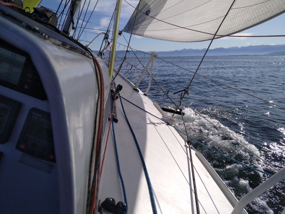 Segelboot (Rennyacht mit Neigekiel Class Mini 6.50) (Gebraucht) in ...