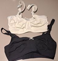 2 Still BH's Bravado 34 E (DD)