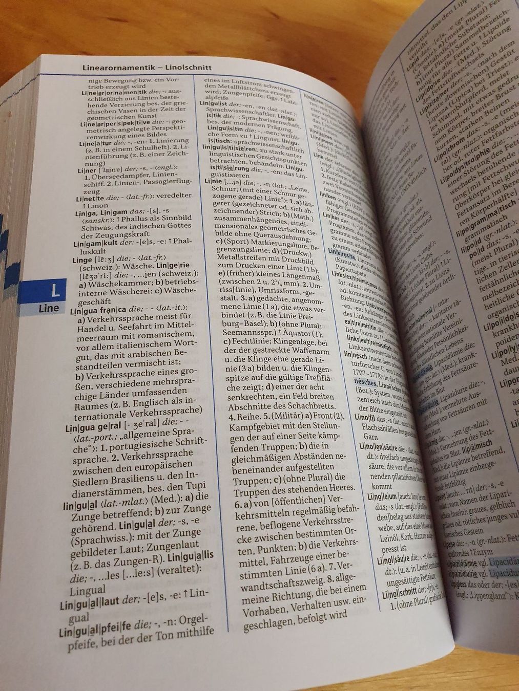 Libri: Duden das Fremdwörterbuch – Usato da Oberdorf BL venduto da BaldenEagle 2