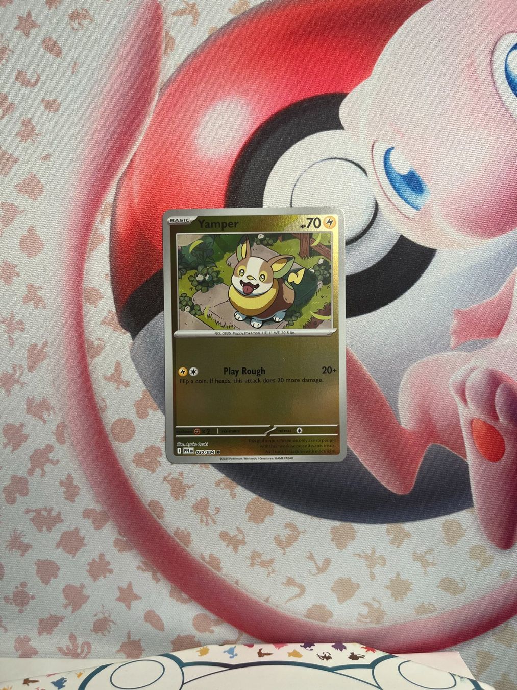 Pokémon Carte collezionabili: Yamper Pokemon Karte Holo/Reverse Holo/Common – Usato da Winterthur venduto da ale_6z2f