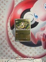Yamper Pokemon Karte Holo/Reverse Holo/Common