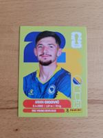 Panini WM 2026 BIH 10