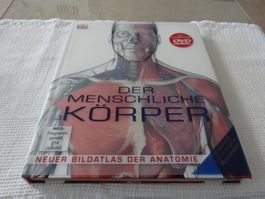 Der Menschliche Körber