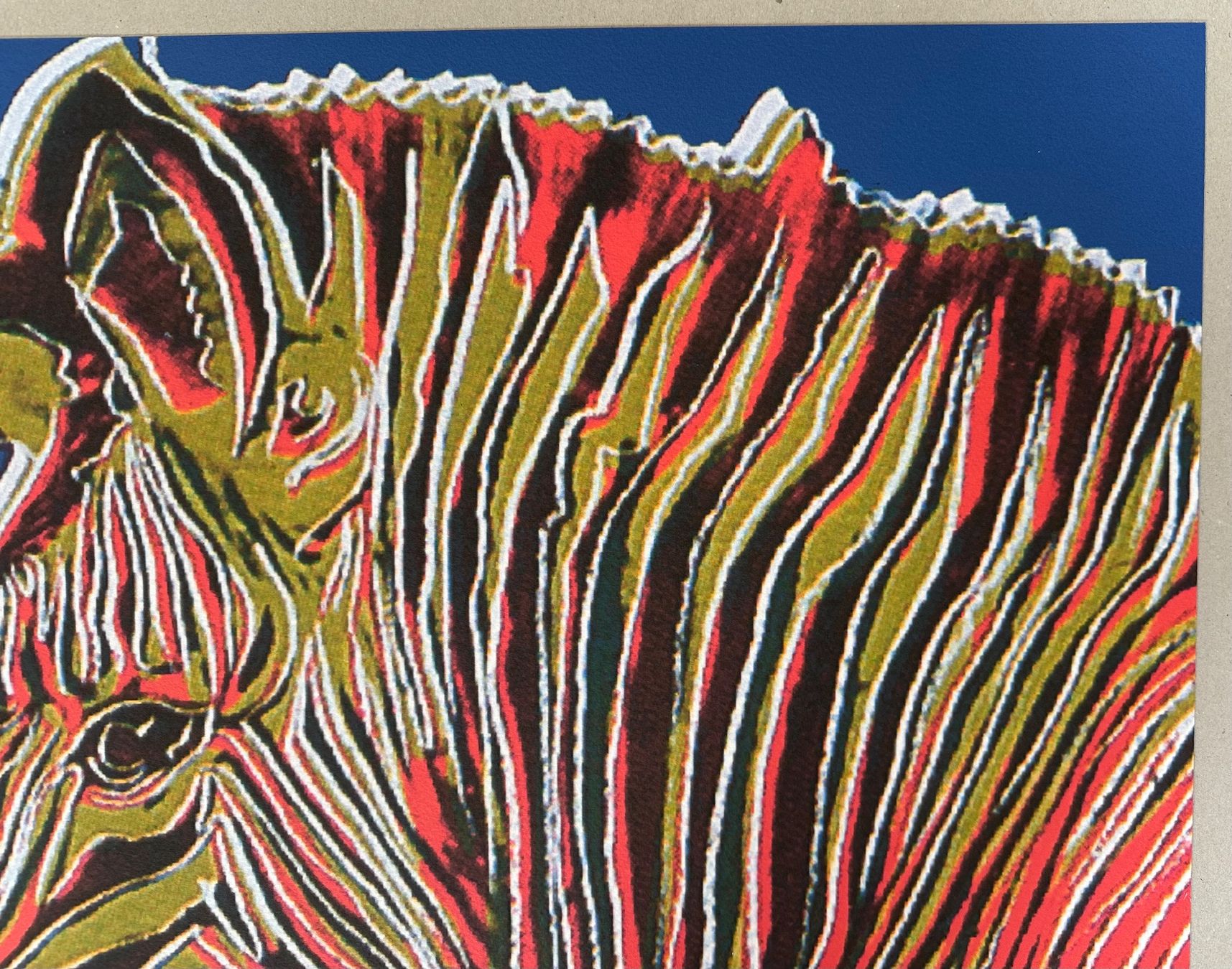 Foto & Immagini: Warhol: POP Art, Zebra 309/2400 – Nuovo (secondo la descrizione) da Meilen venduto da Smgdesign 5
