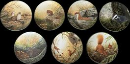 7 Sammelteller Royal Doulton Rollinson’s Portraits of Natur